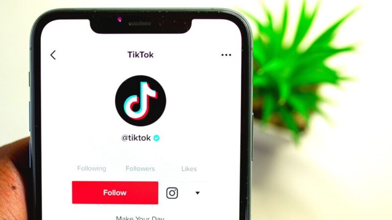 Business On Tiktok: Social Media Turned E-Commerce Spot