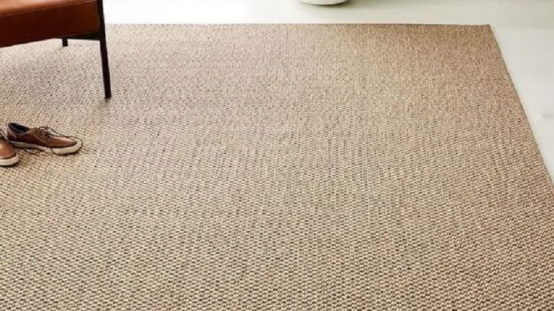 Why are Sisal Carpets the Perfect Choice for Eco-Conscious Homeowners?