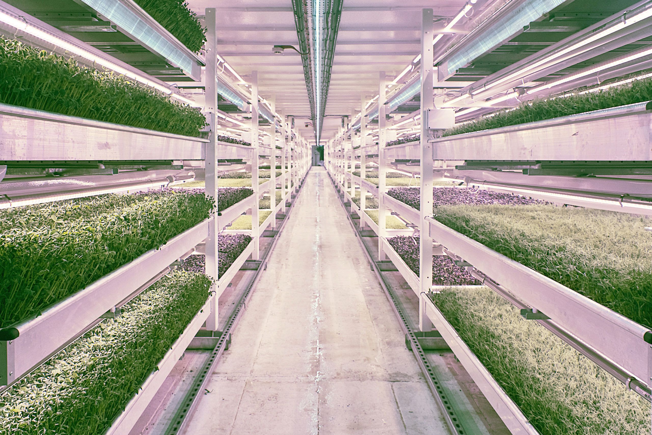 Designing a Sustainable Food Plant: A Guide to Green Architecture