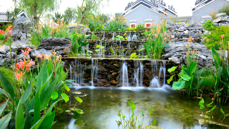 Pond filters